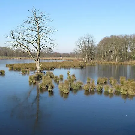 Apartamento - Free2beme Nettetal