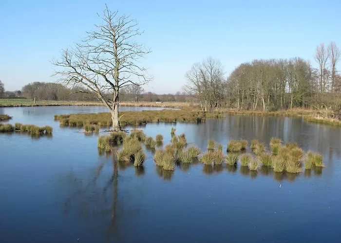 Appartement - Free2beme Nettetal